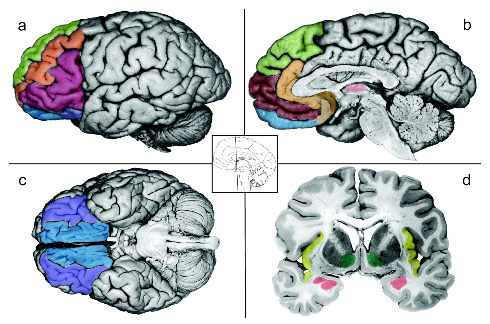 Inventions 04 00034 g002