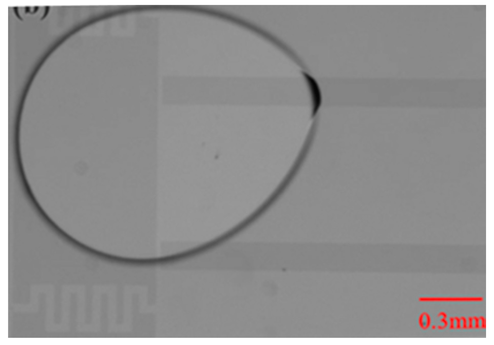 Inventions 05 00021 g004