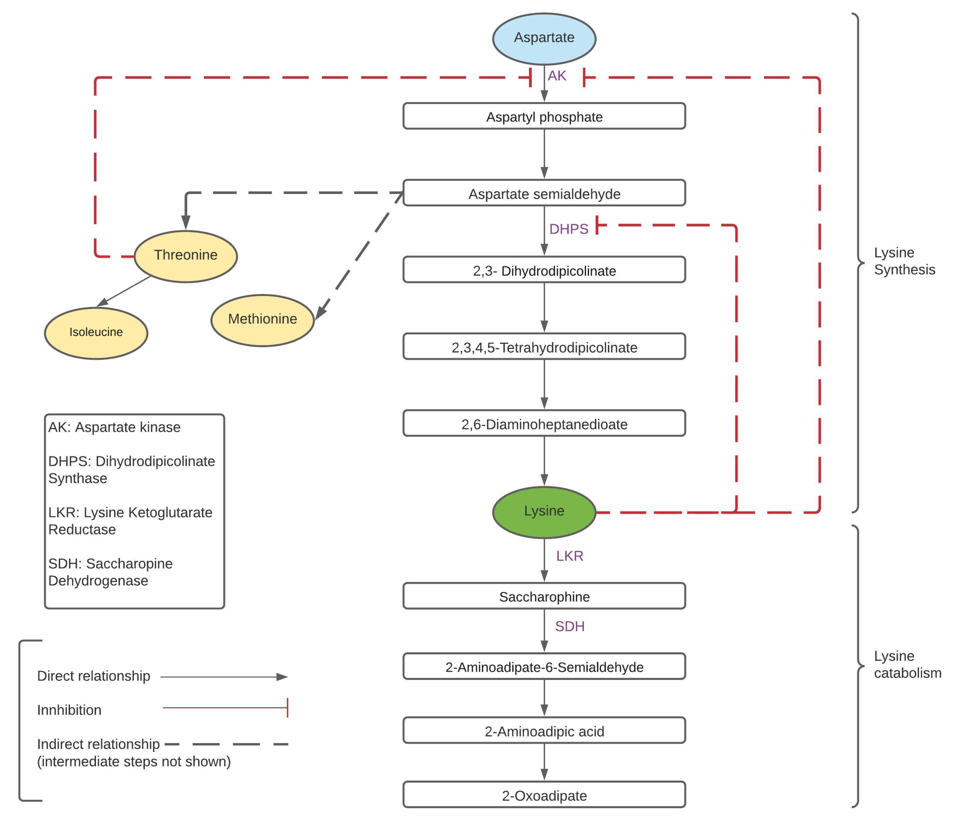 Inventions 06 00037 g001