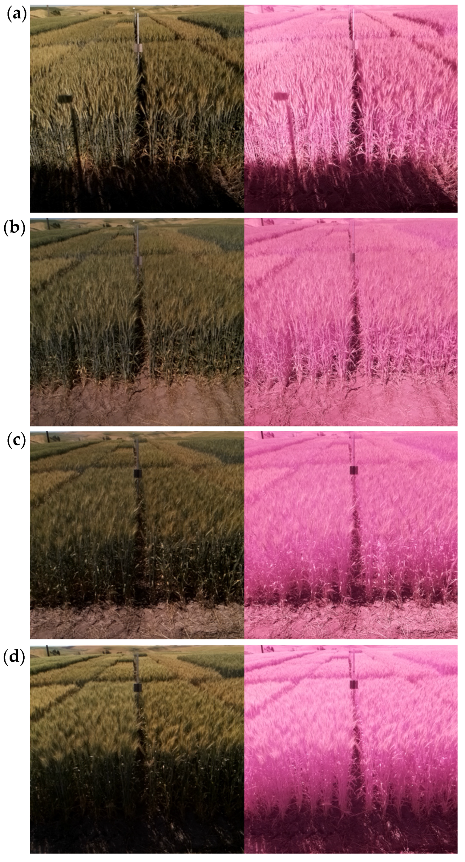 Inventions 06 00042 g006 Inventions 06 00042 g006