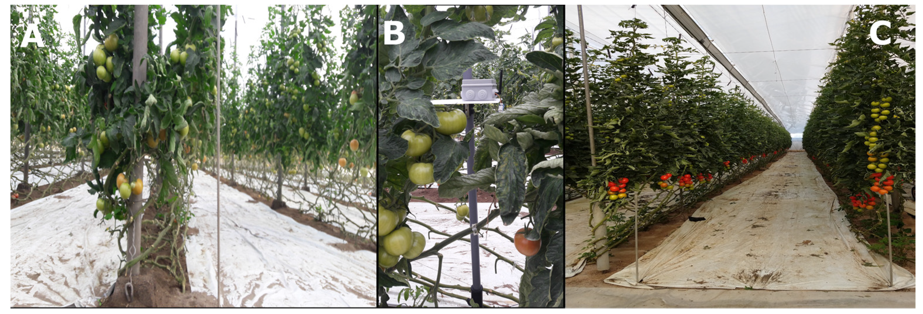 Inventions 06 00066 g003 Inventions 06 00066 g003