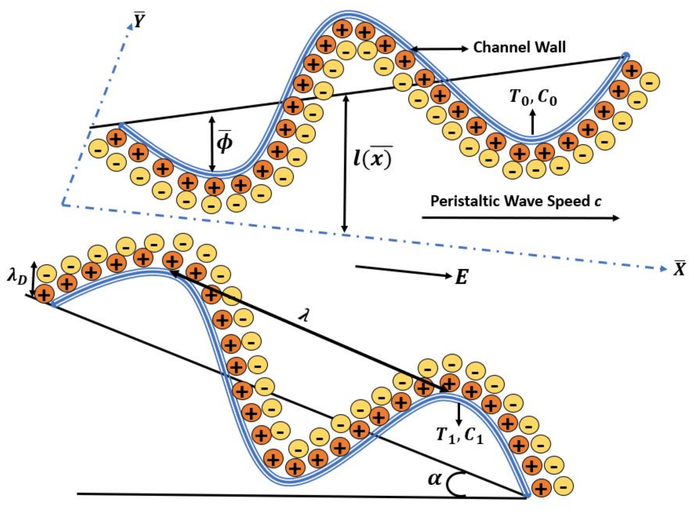 Inventions 06 00073 g001