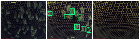 Inventions 06 00087 g0a3 550