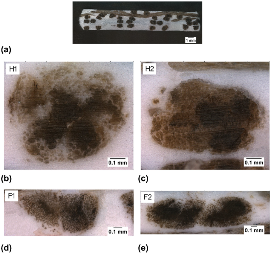 Inventions 07 00005 g004