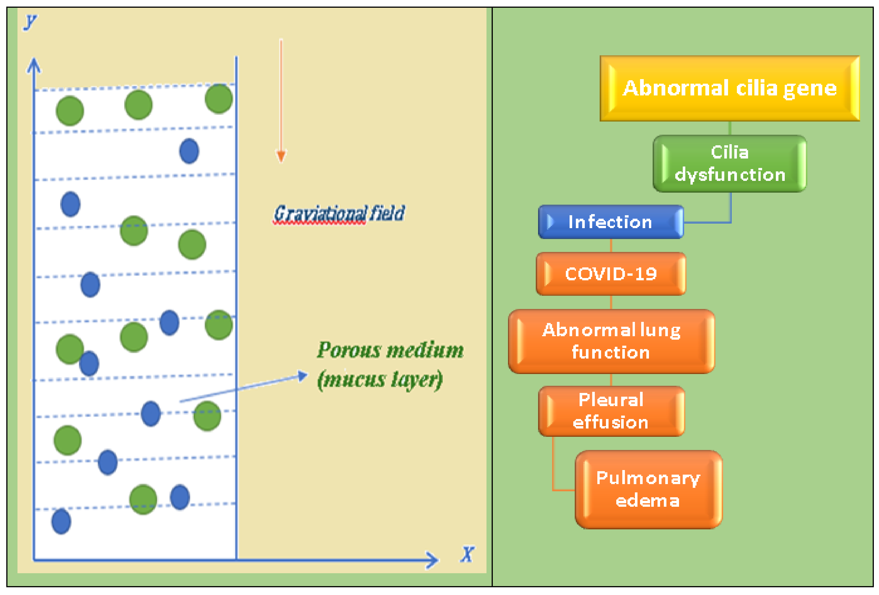 Inventions 07 00050 g001