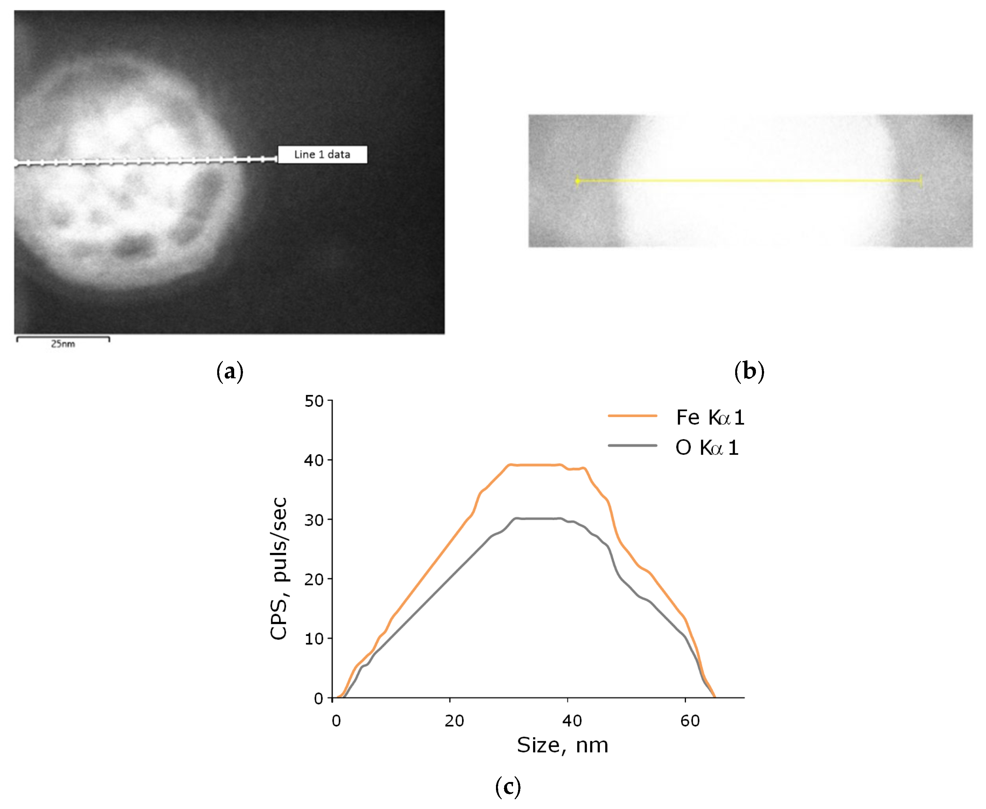 Inventions 07 00061 g002