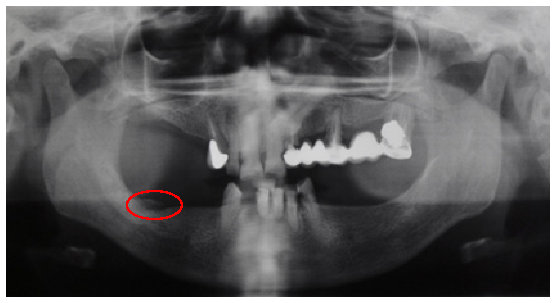 Inventions 07 00097 g001