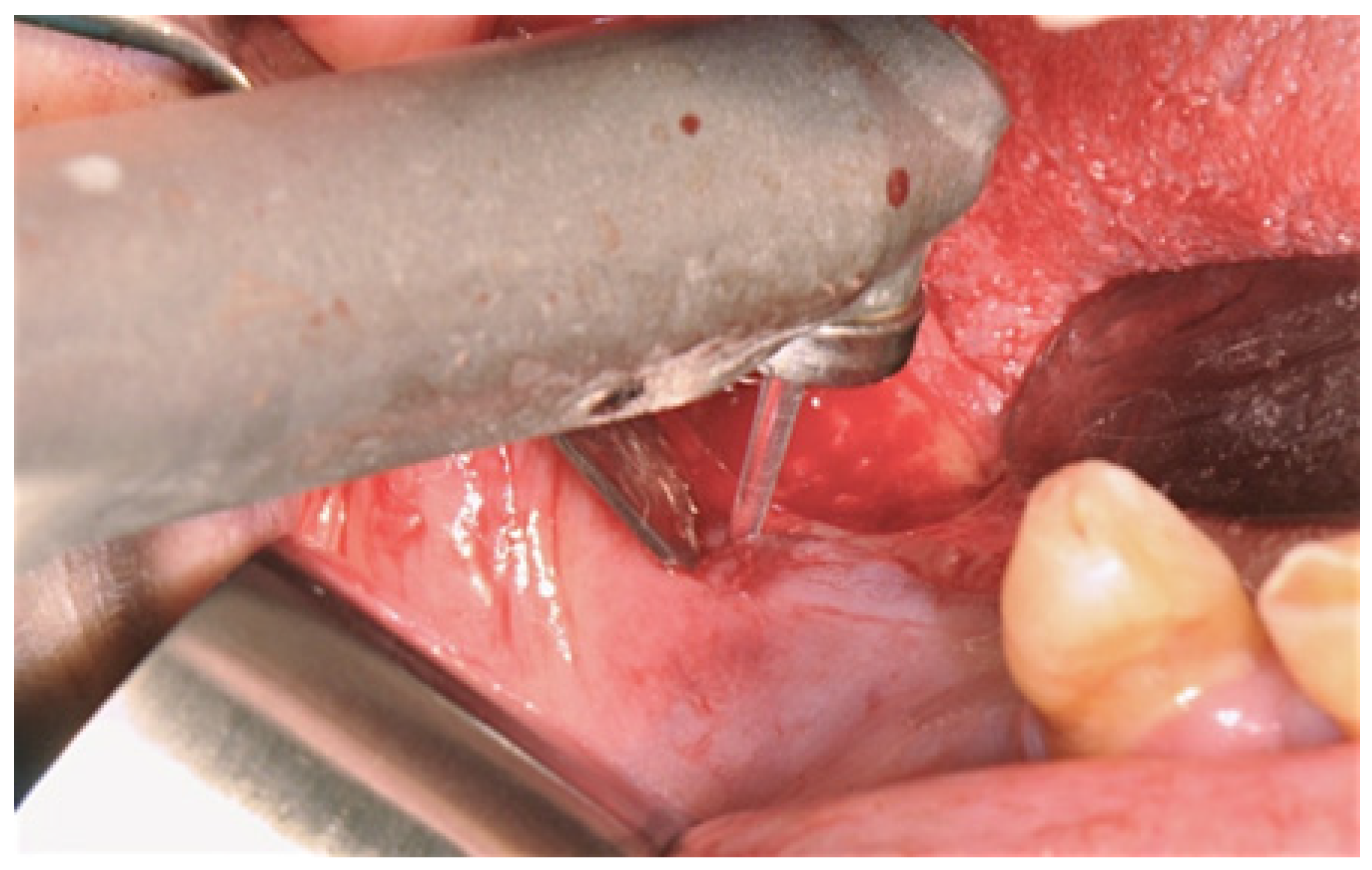 Inventions 07 00097 g004