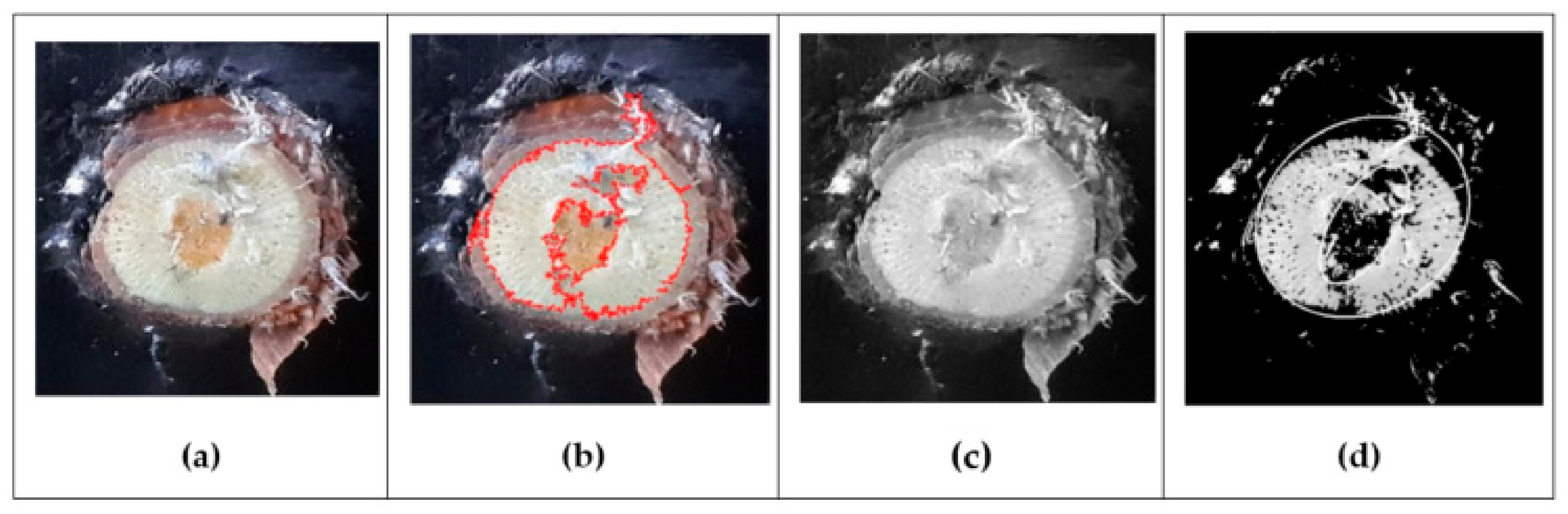 Inventions 08 00092 g005 Inventions 08 00092 g005