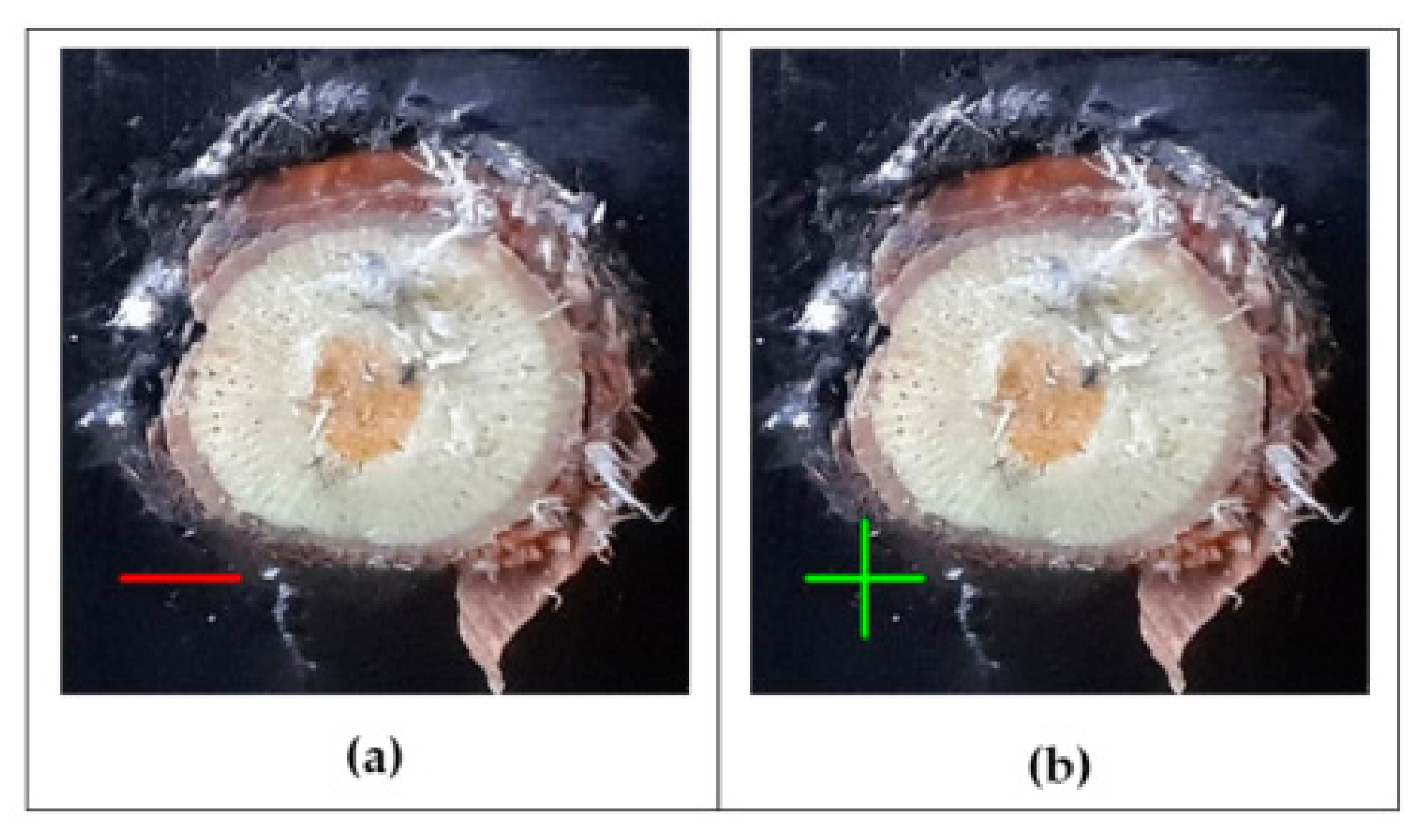 Inventions 08 00092 g006 Inventions 08 00092 g006