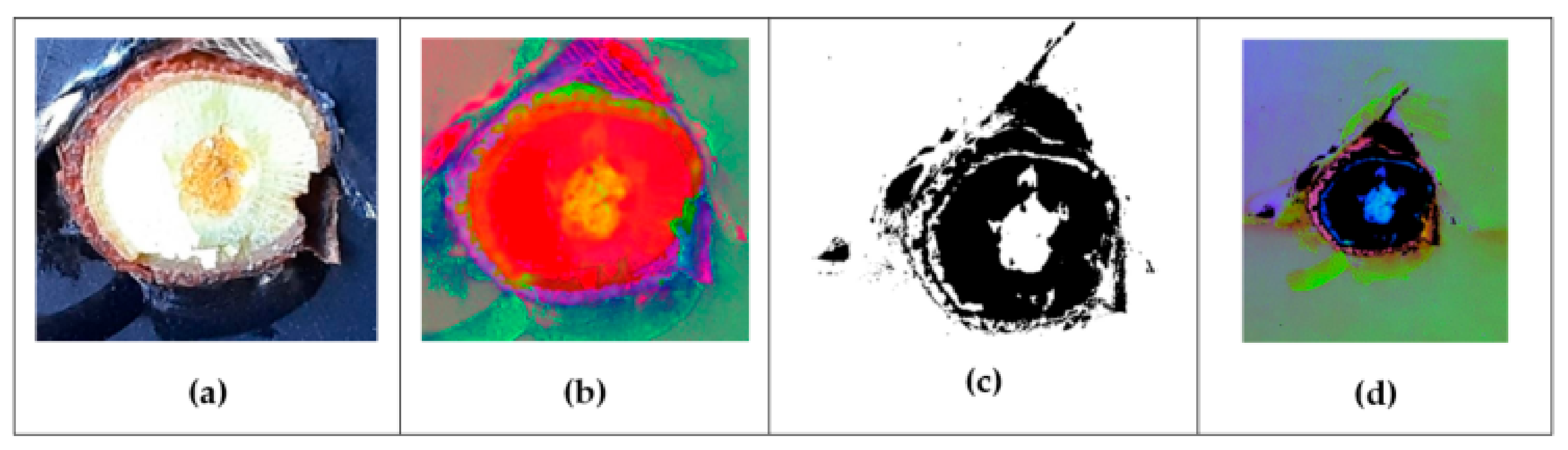 Inventions 08 00092 g007 Inventions 08 00092 g007