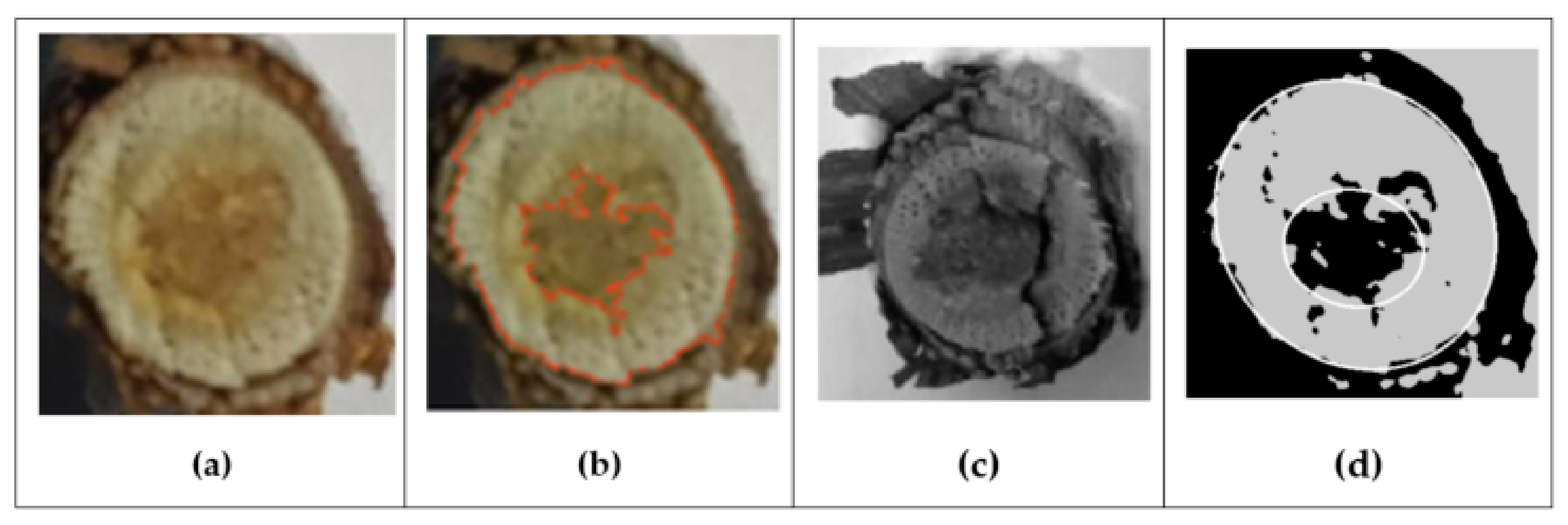 Inventions 08 00092 g011 Inventions 08 00092 g011