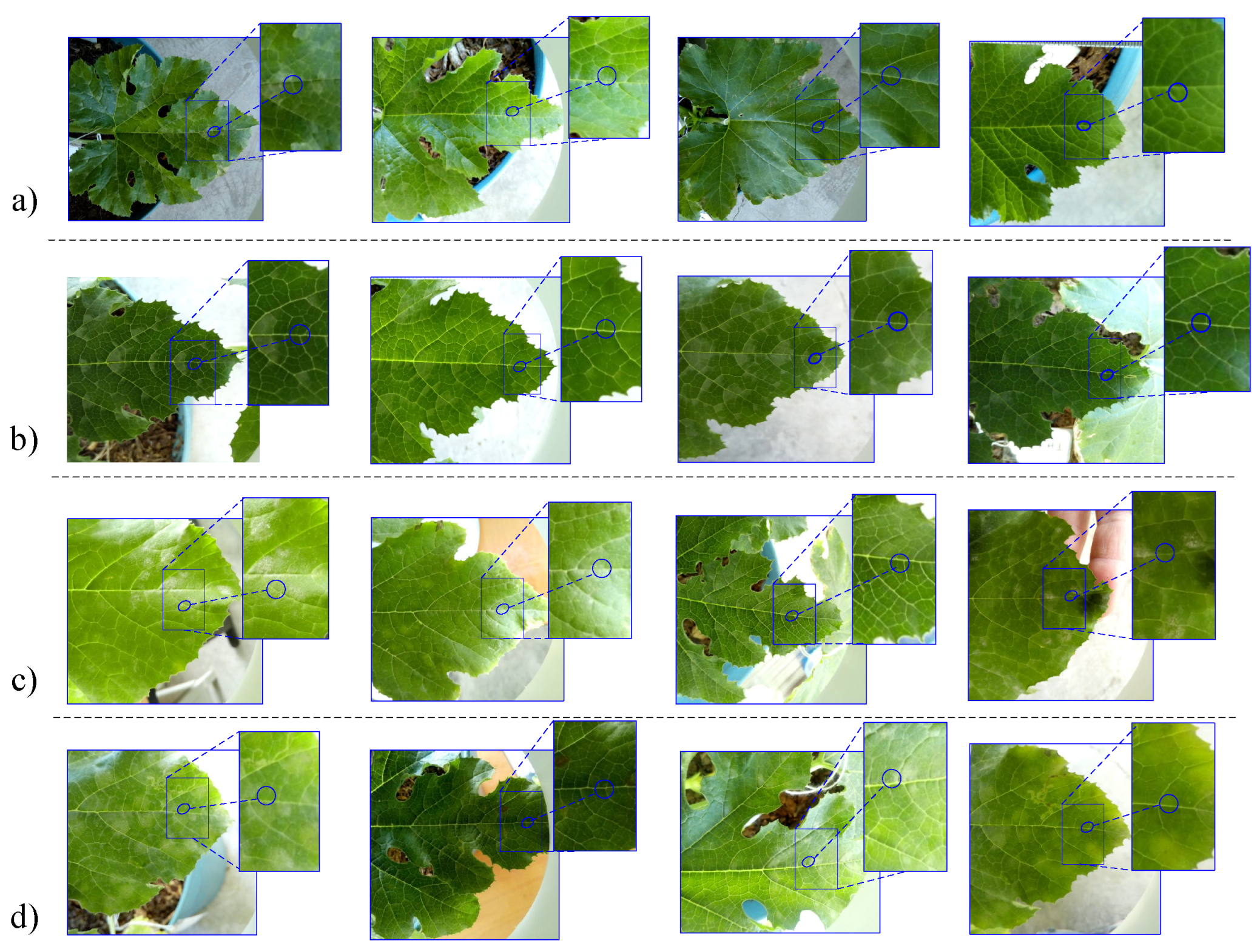 Inventions 09 00008 g003