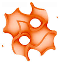 Inventions 09 00060 i001