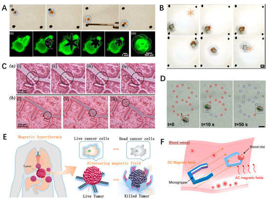 Inventions 09 00067 g011