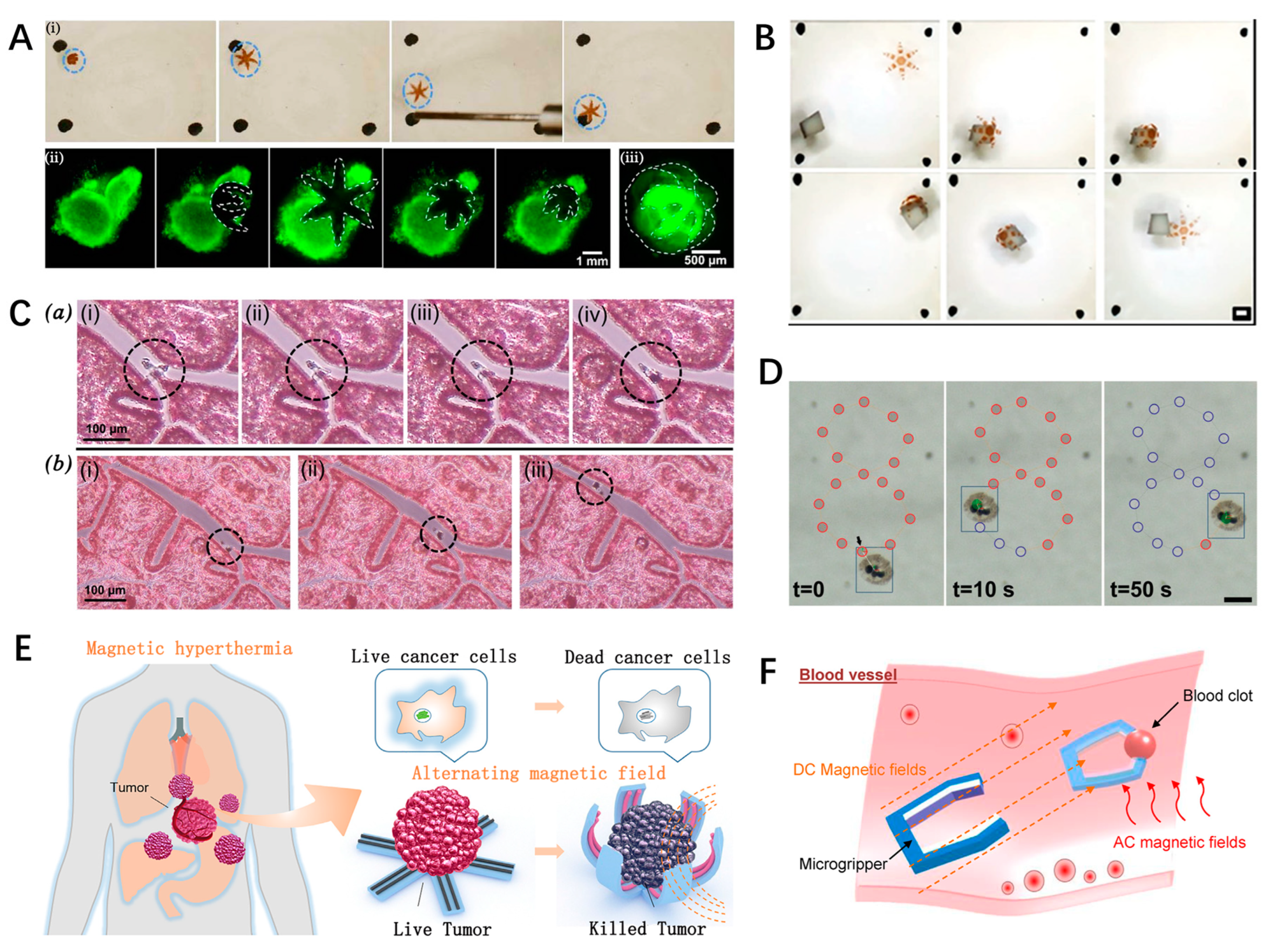 Inventions 09 00067 g011