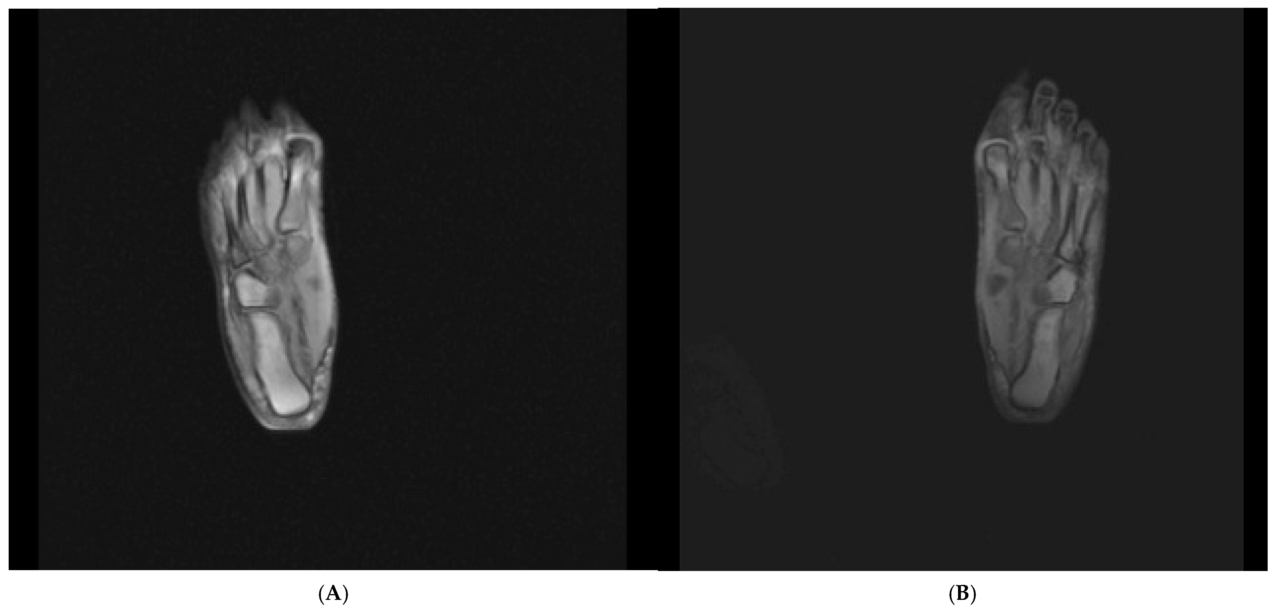 Japma 116 00003 g001 Japma 116 00003 g001