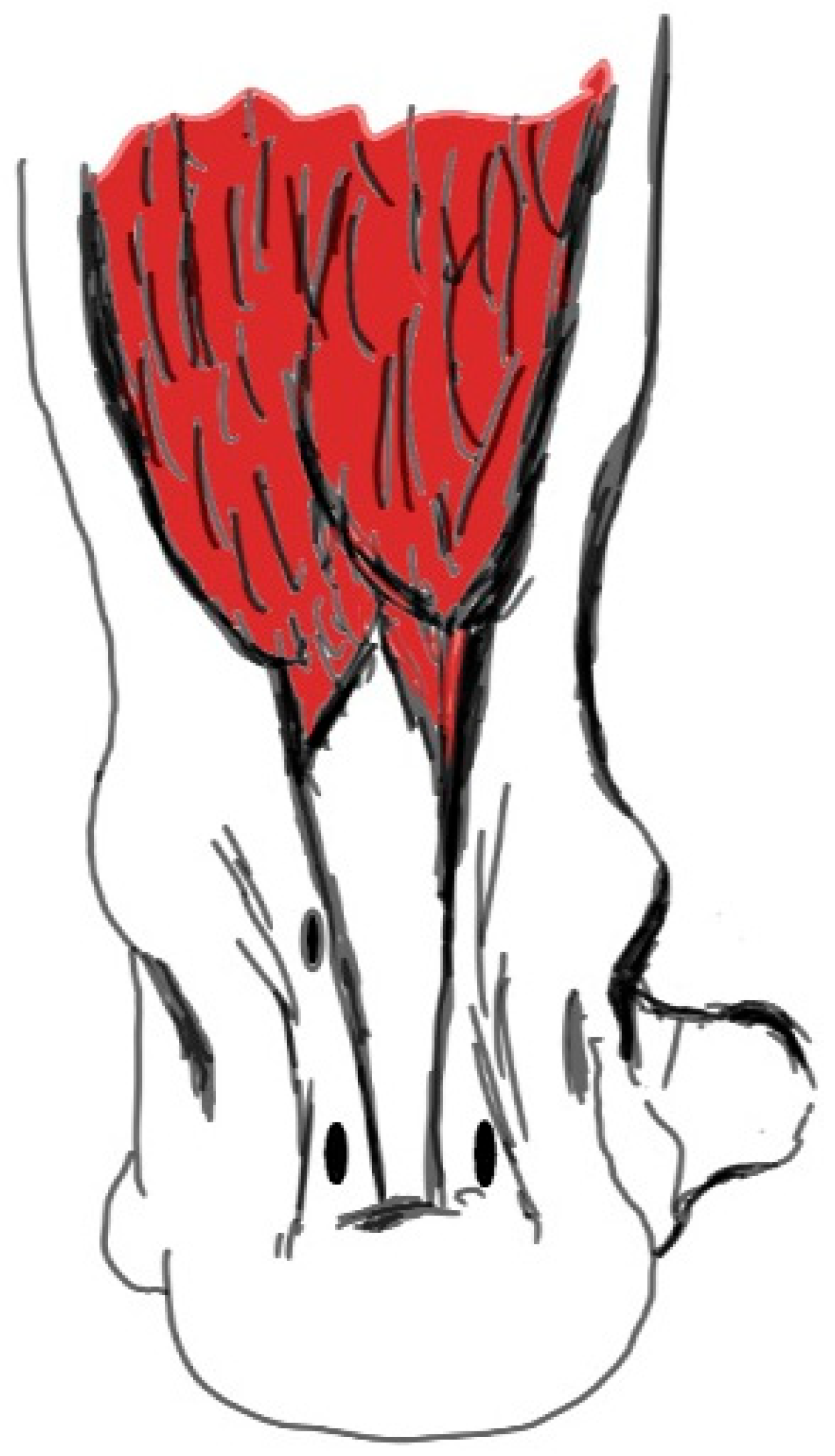 Japma 116 00007 g001 Japma 116 00007 g001