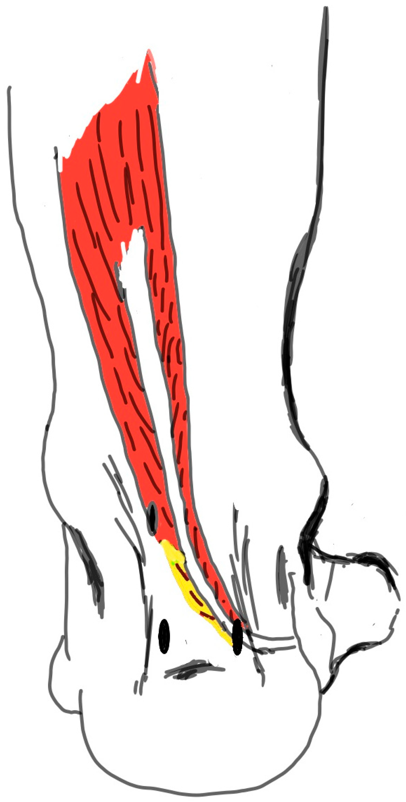 Japma 116 00007 g002 Japma 116 00007 g002