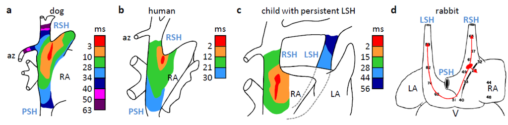 Jcdd 01 00014 g002 1024