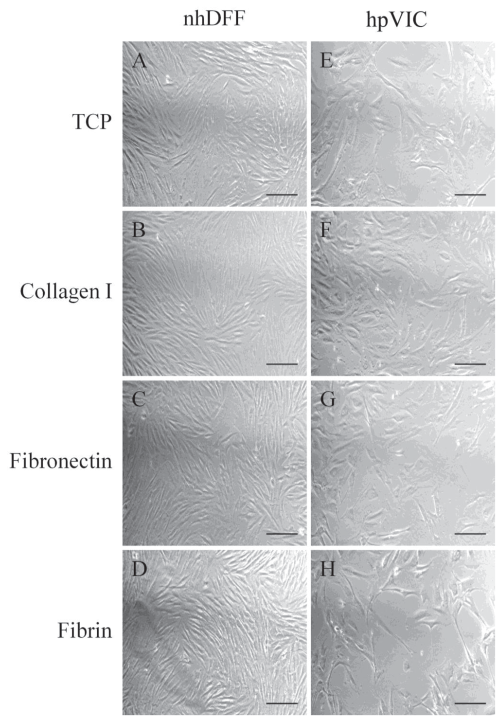 Jcdd 01 00146 g001 1024