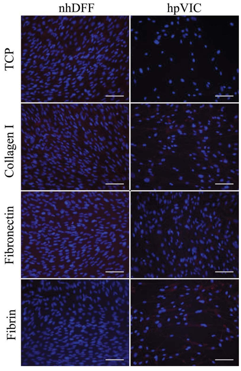 Jcdd 01 00146 g006 1024