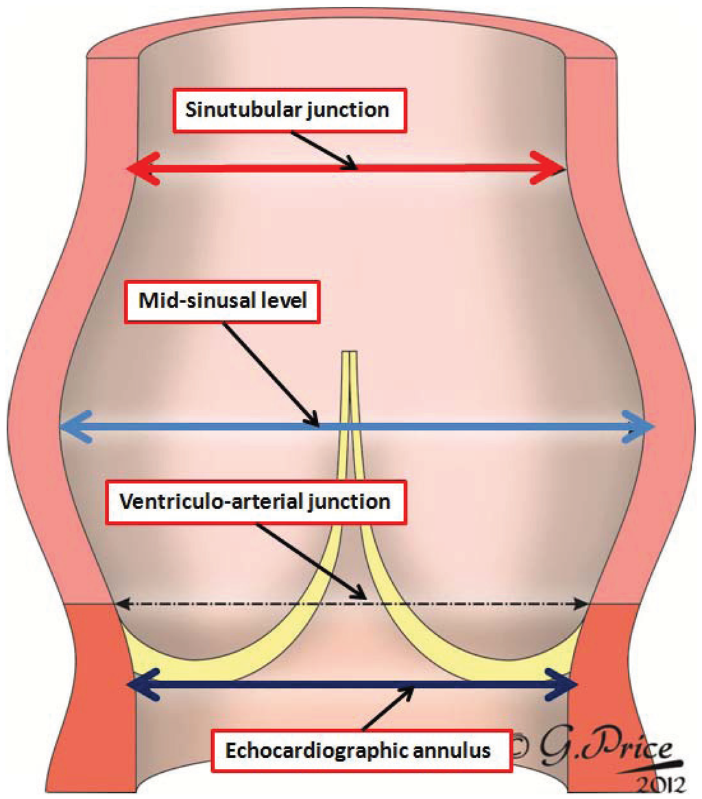 Jcdd 01 00177 g004 1024