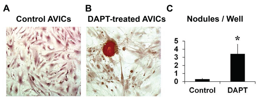 Jcdd 01 00237 g002 1024