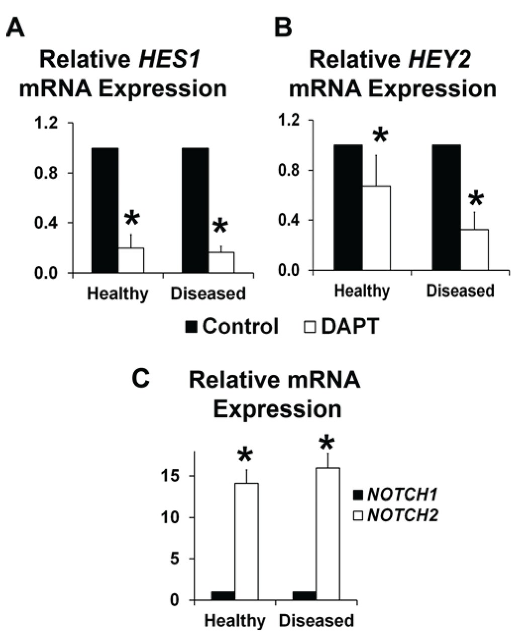 Jcdd 01 00237 g003 1024