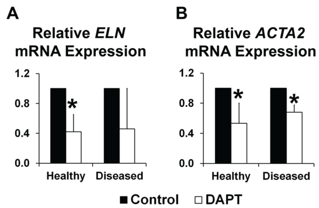 Jcdd 01 00237 g004 1024