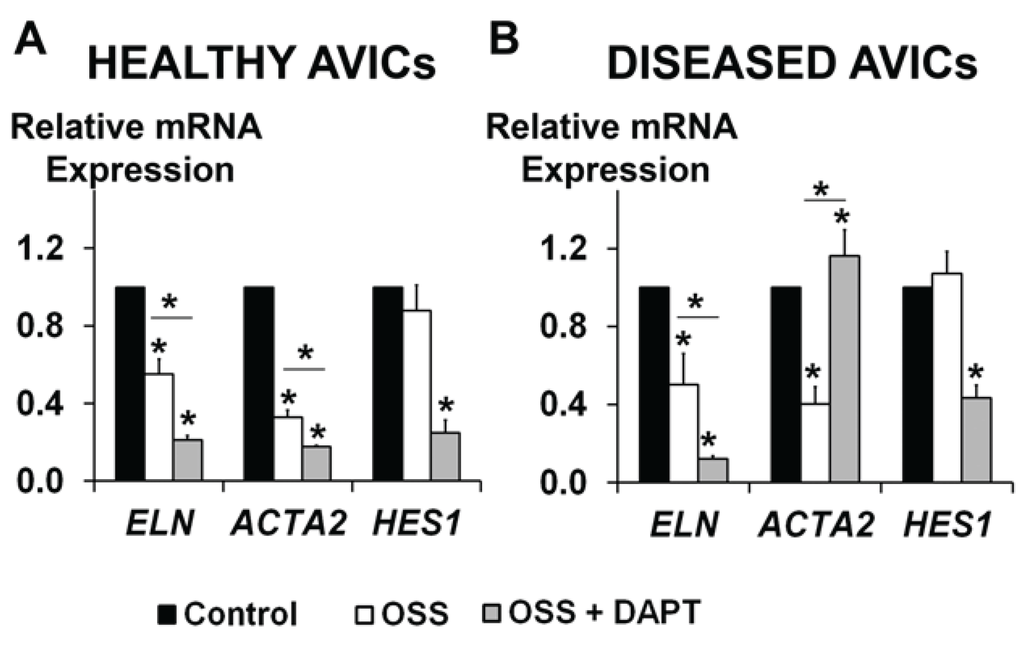 Jcdd 01 00237 g005 1024