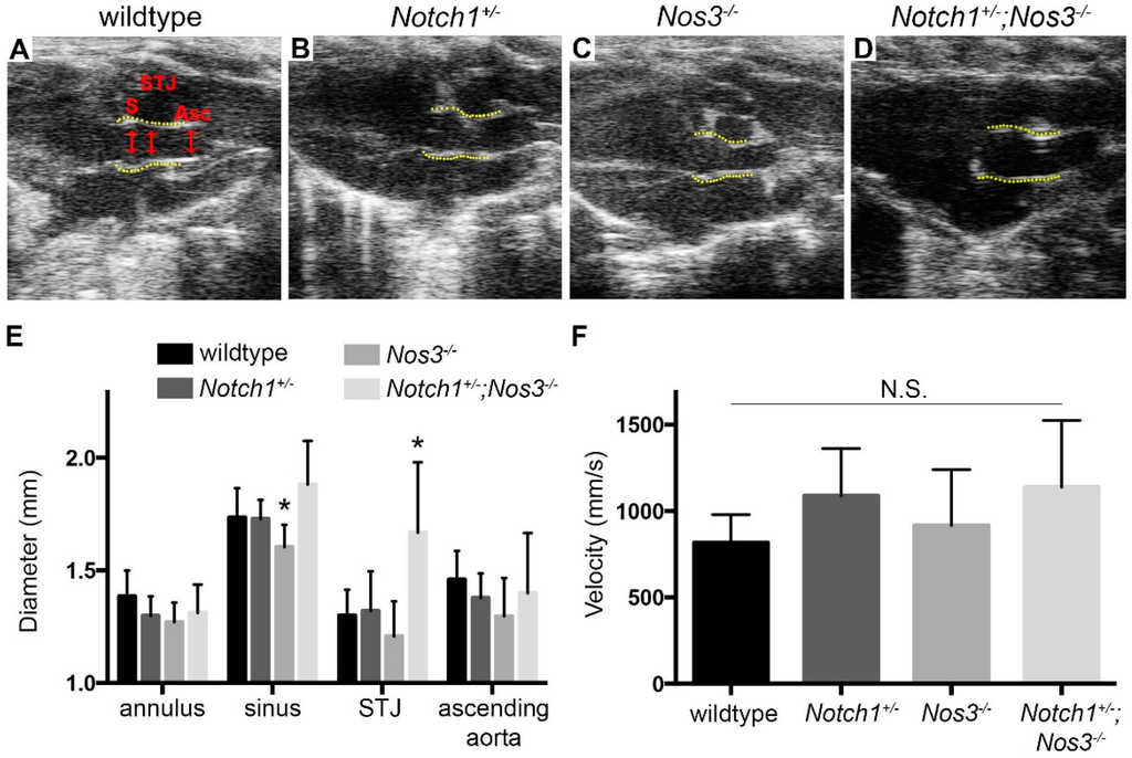 Jcdd 02 00017 g002 1024
