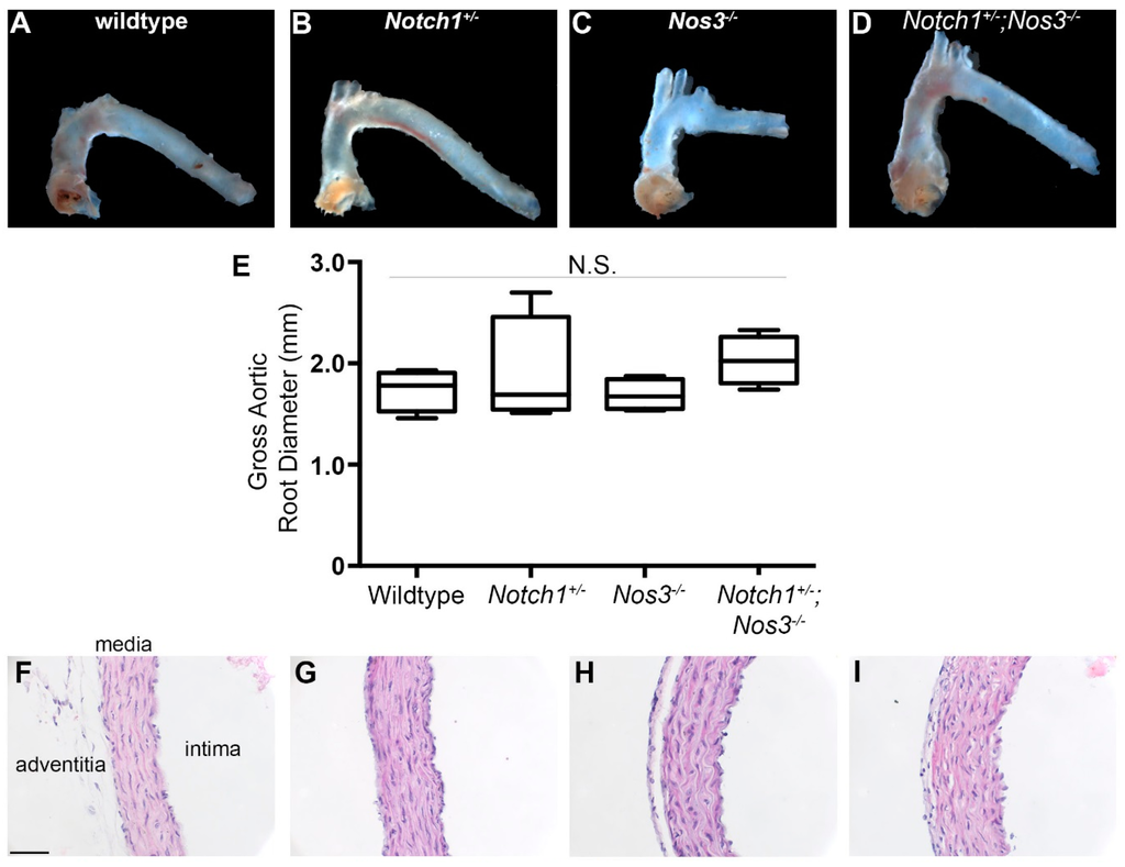 Jcdd 02 00017 g003a 1024
