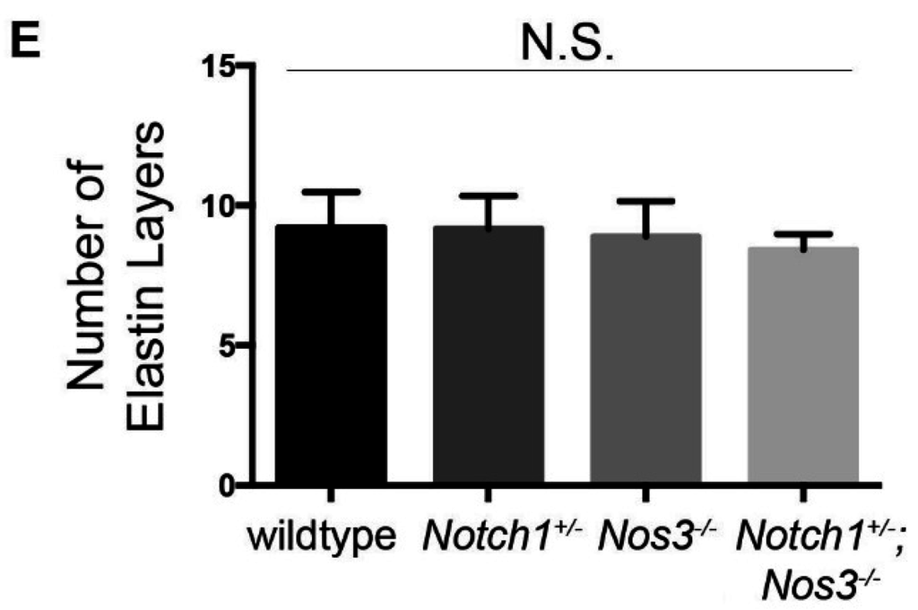 Jcdd 02 00017 g004b 1024