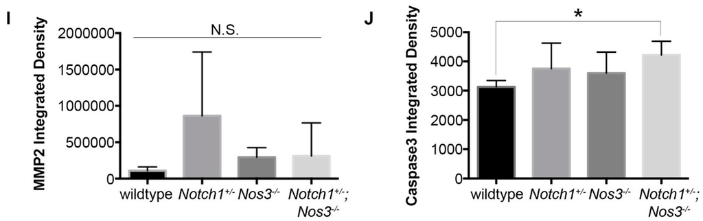 Jcdd 02 00017 g005b 1024