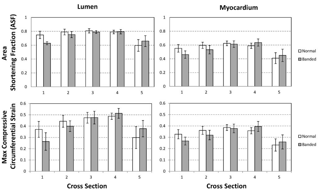 Jcdd 03 00001 g002 1024