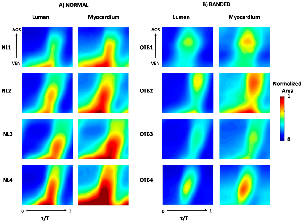 Jcdd 03 00001 g005 1024