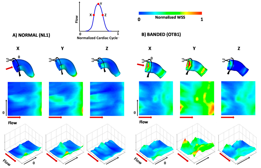 Jcdd 03 00001 g007 1024