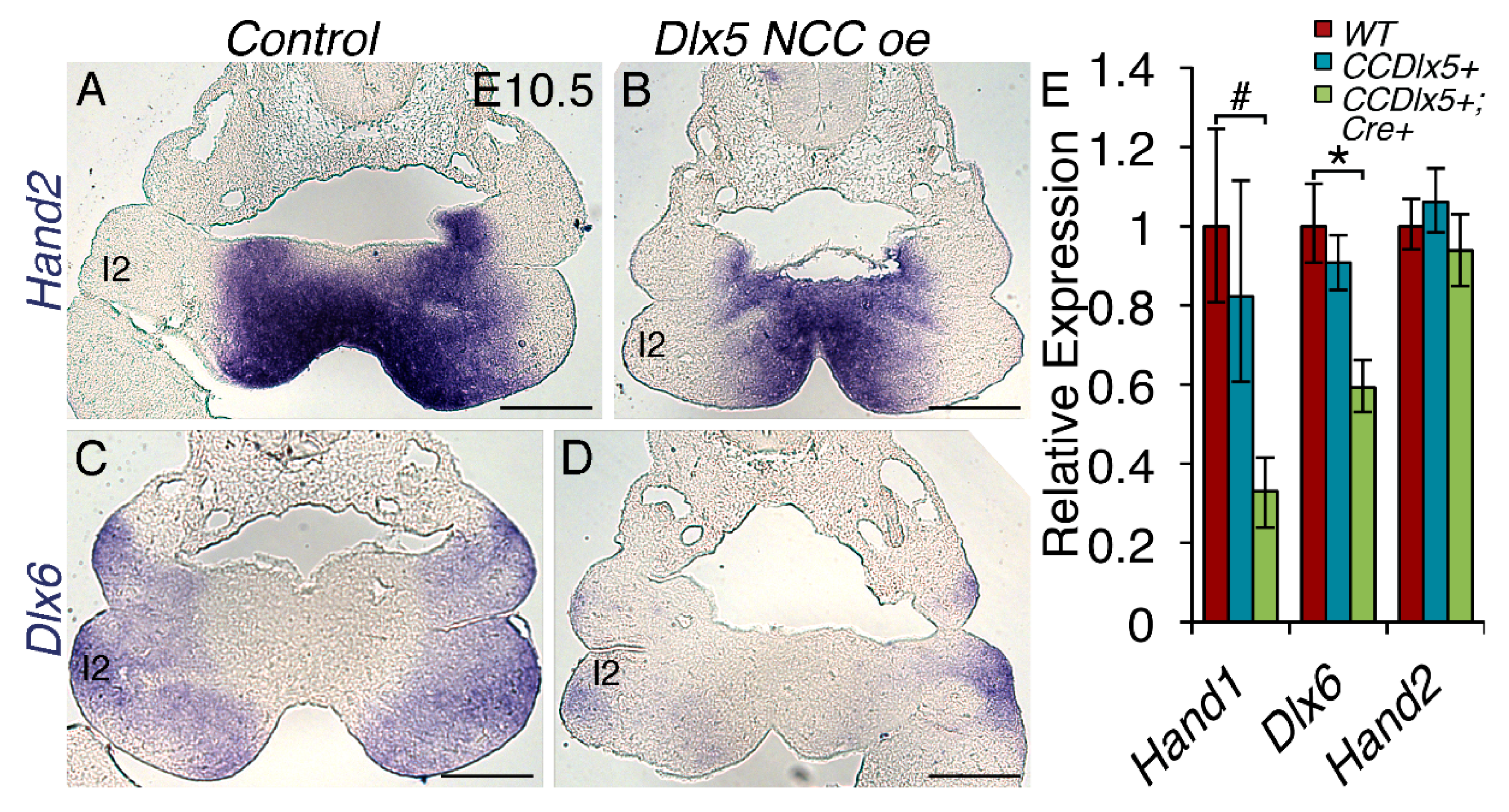 Jcdd 07 00013 g008 Jcdd 07 00013 g008