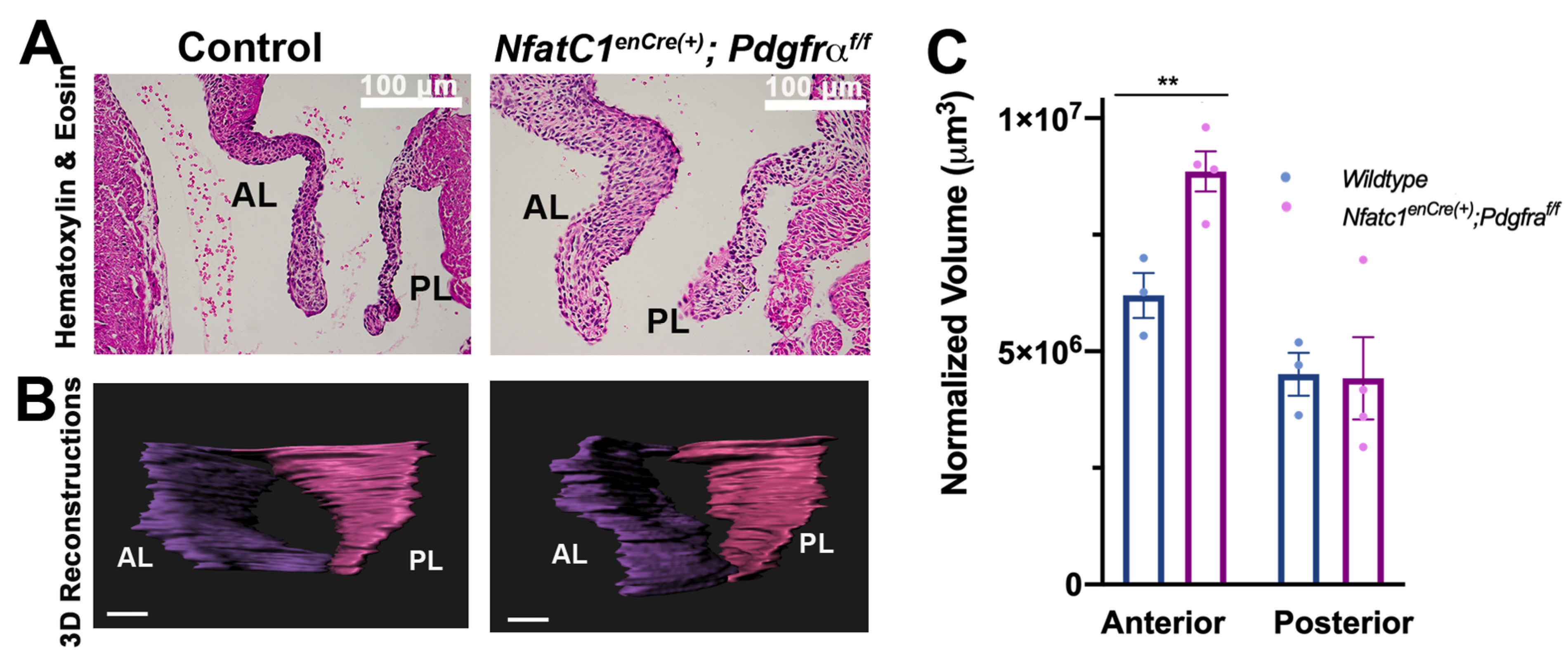 Jcdd 08 00028 g003 Jcdd 08 00028 g003