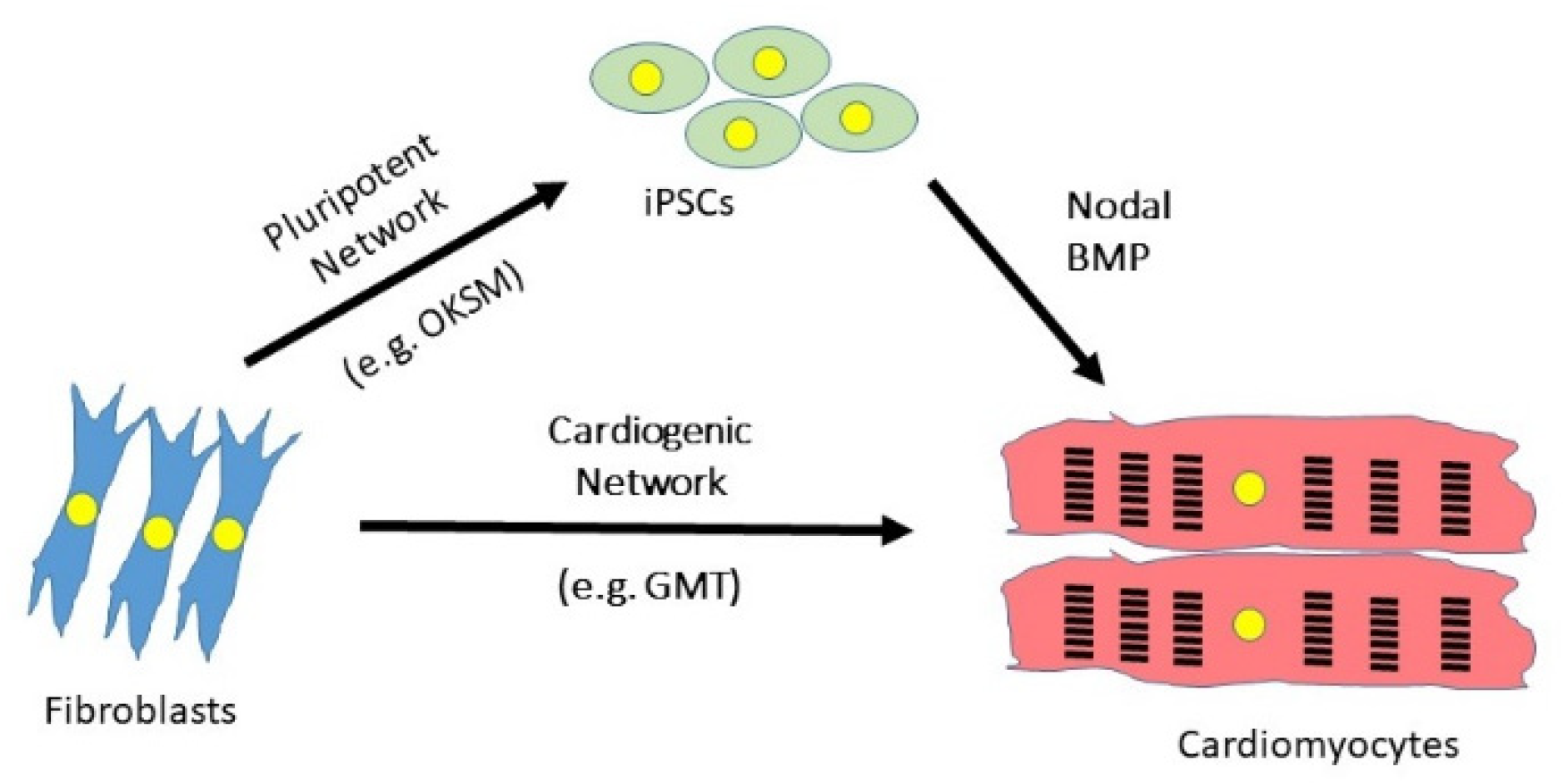 Jcdd 08 00072 g002 Jcdd 08 00072 g002