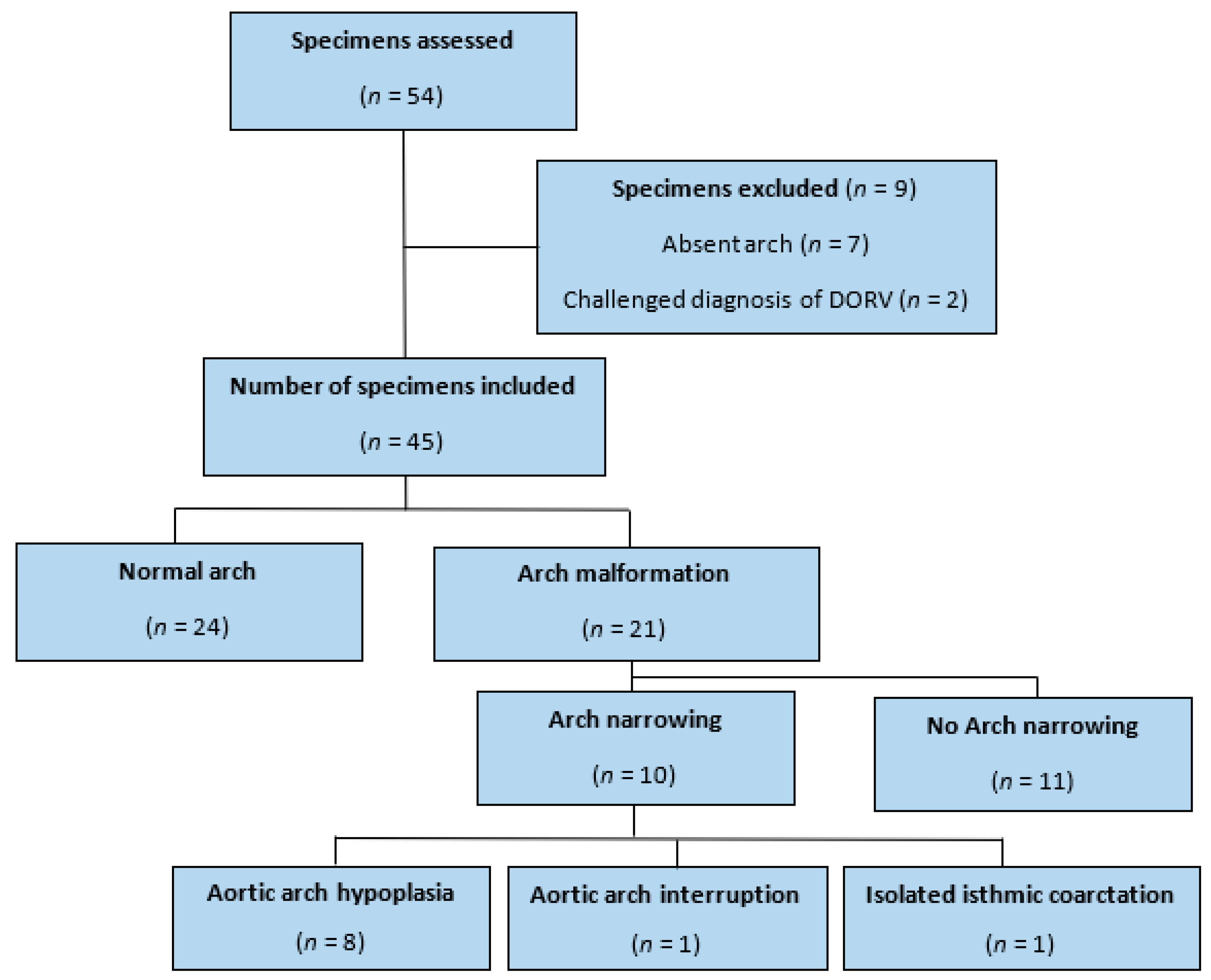 Jcdd 09 00262 g002 Jcdd 09 00262 g002