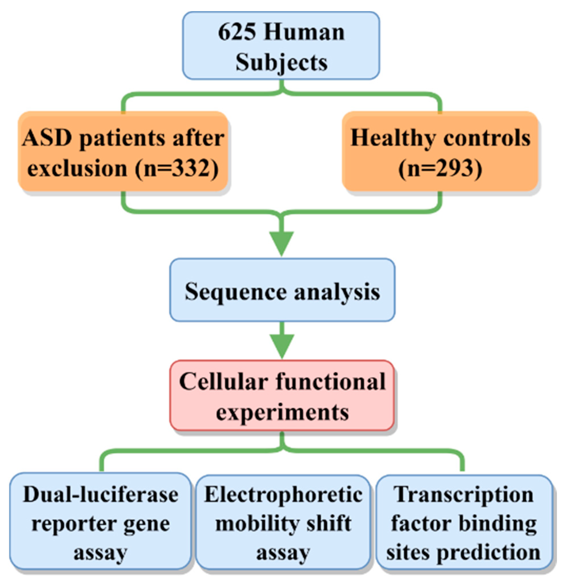 Jcdd 09 00321 g001 Jcdd 09 00321 g001