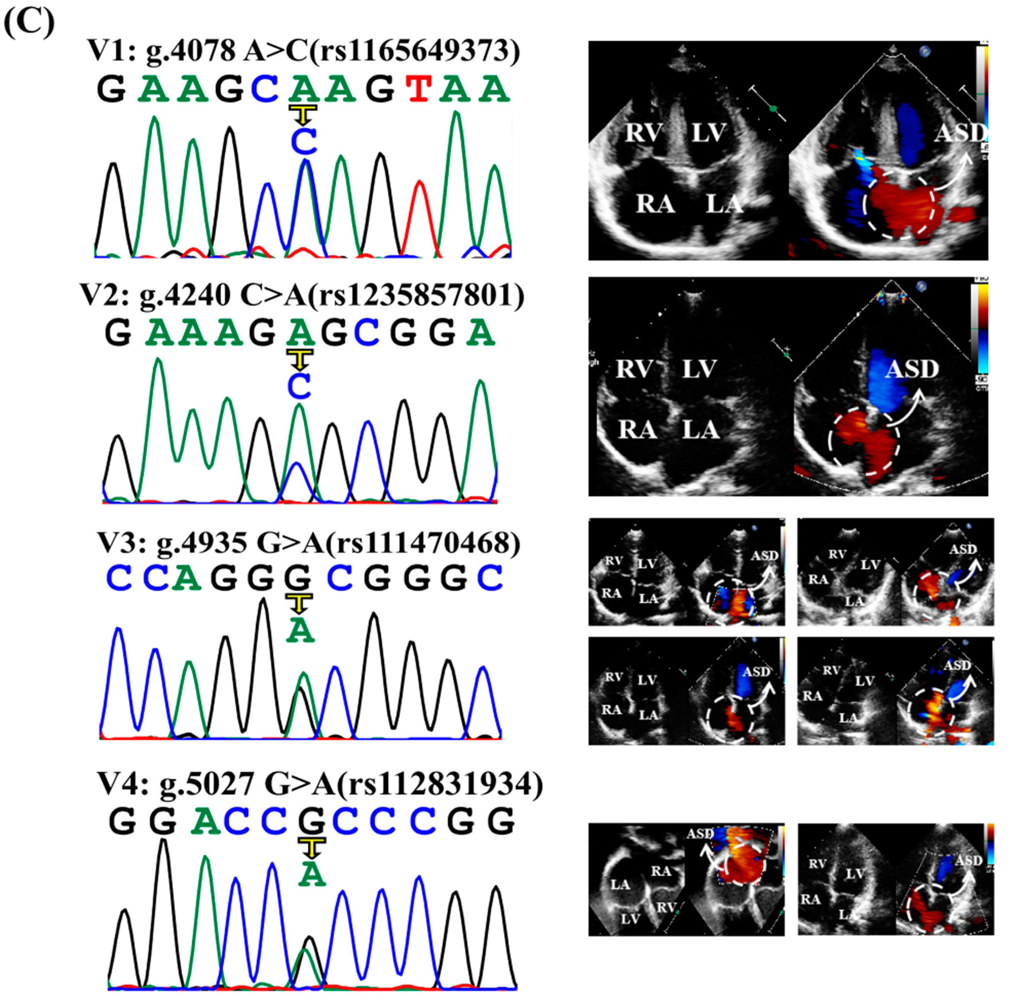 Jcdd 09 00321 g003b Jcdd 09 00321 g003b