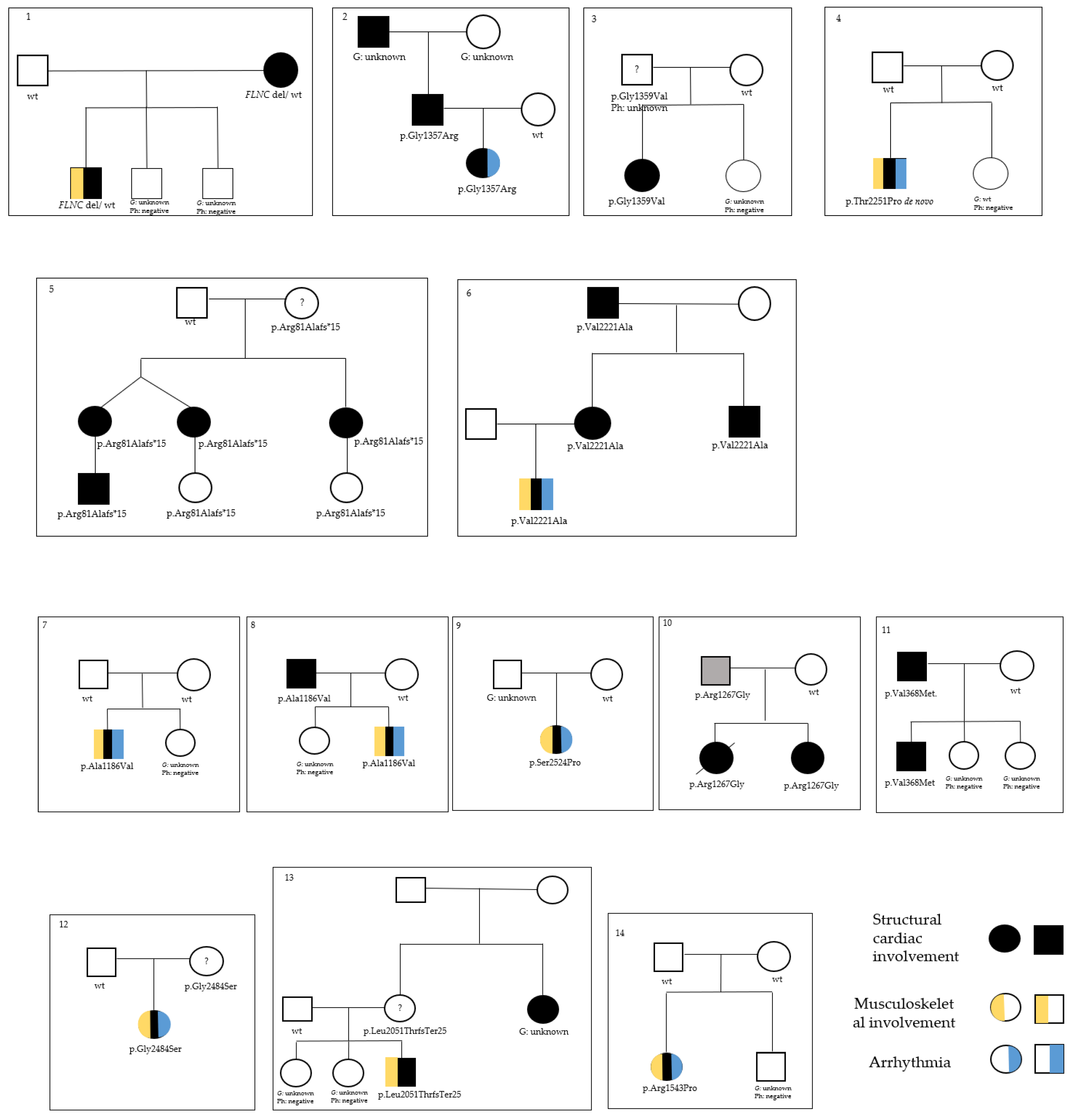 Jcdd 09 00332 g001 Jcdd 09 00332 g001