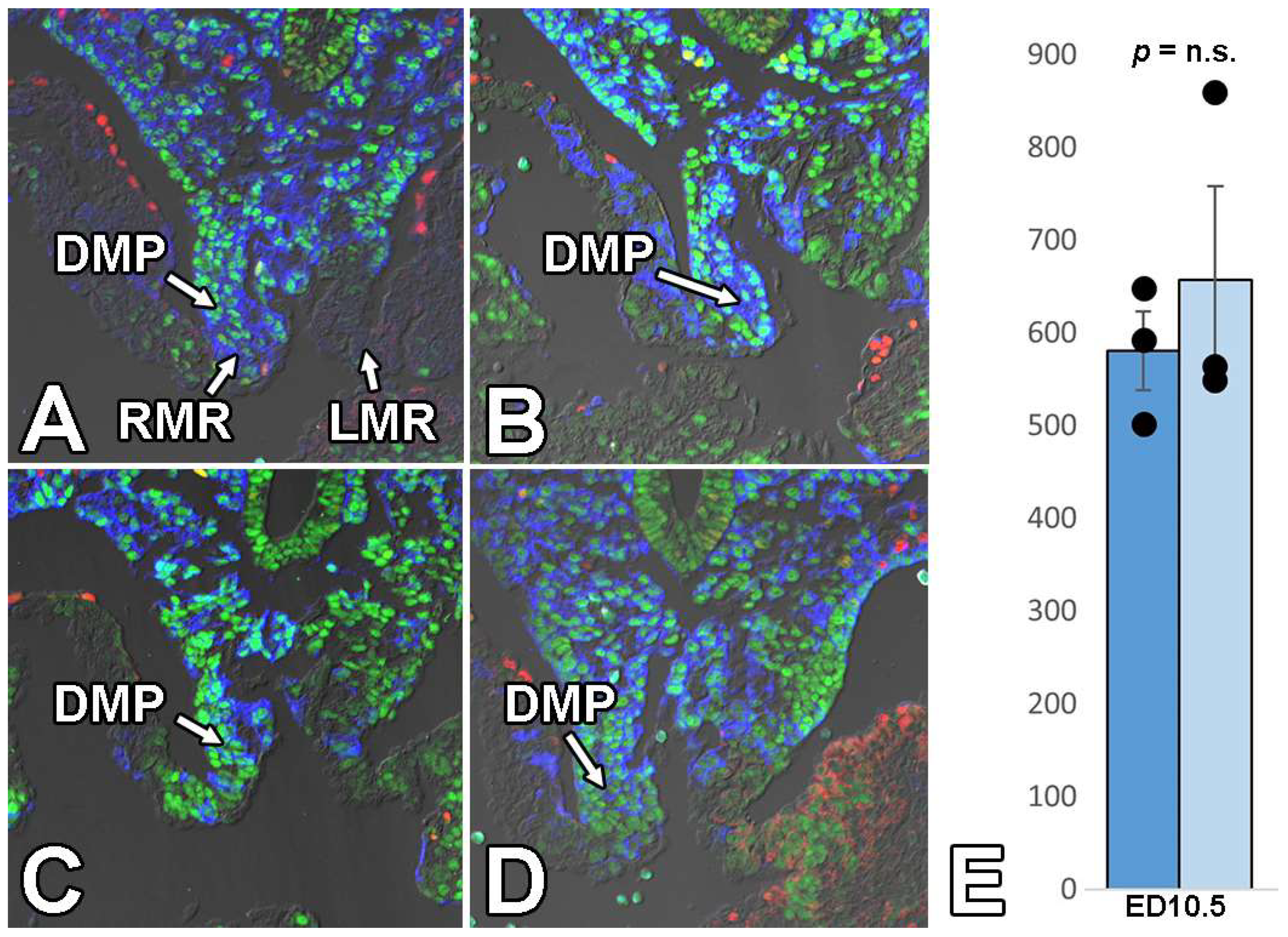 Jcdd 09 00376 g008 Jcdd 09 00376 g008