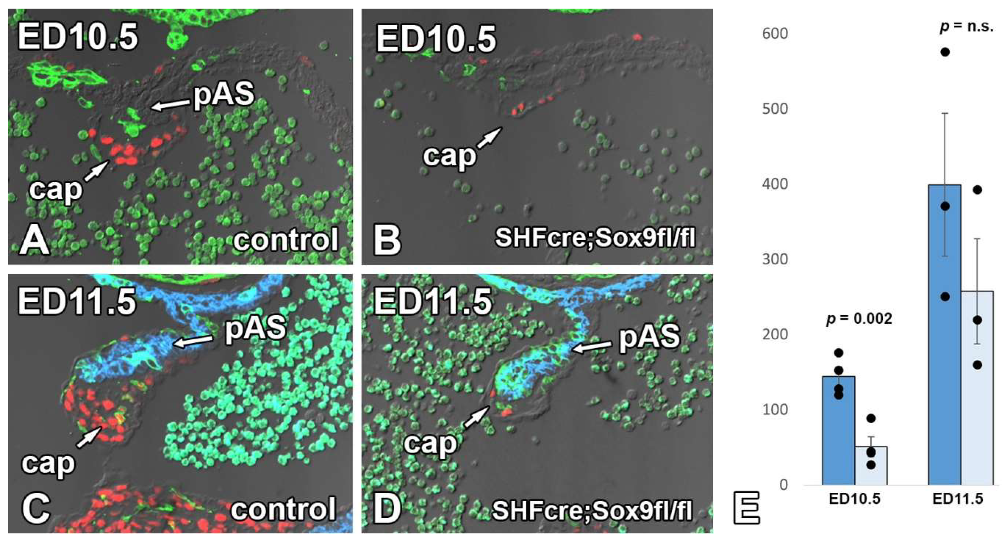Jcdd 09 00376 g010 Jcdd 09 00376 g010
