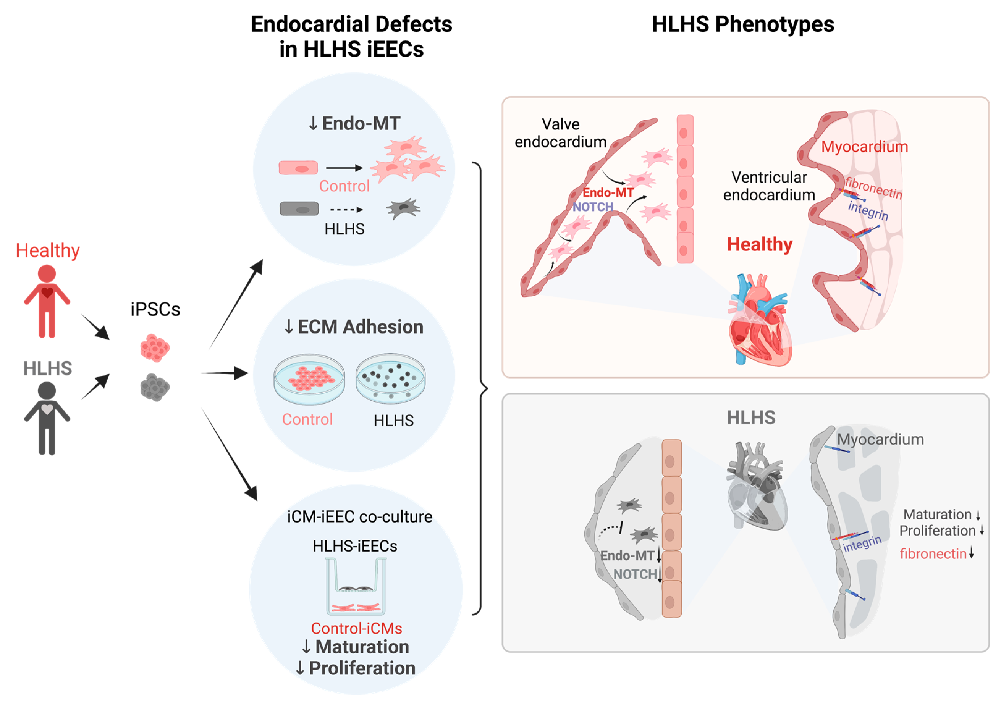 Jcdd 09 00442 g001 Jcdd 09 00442 g001
