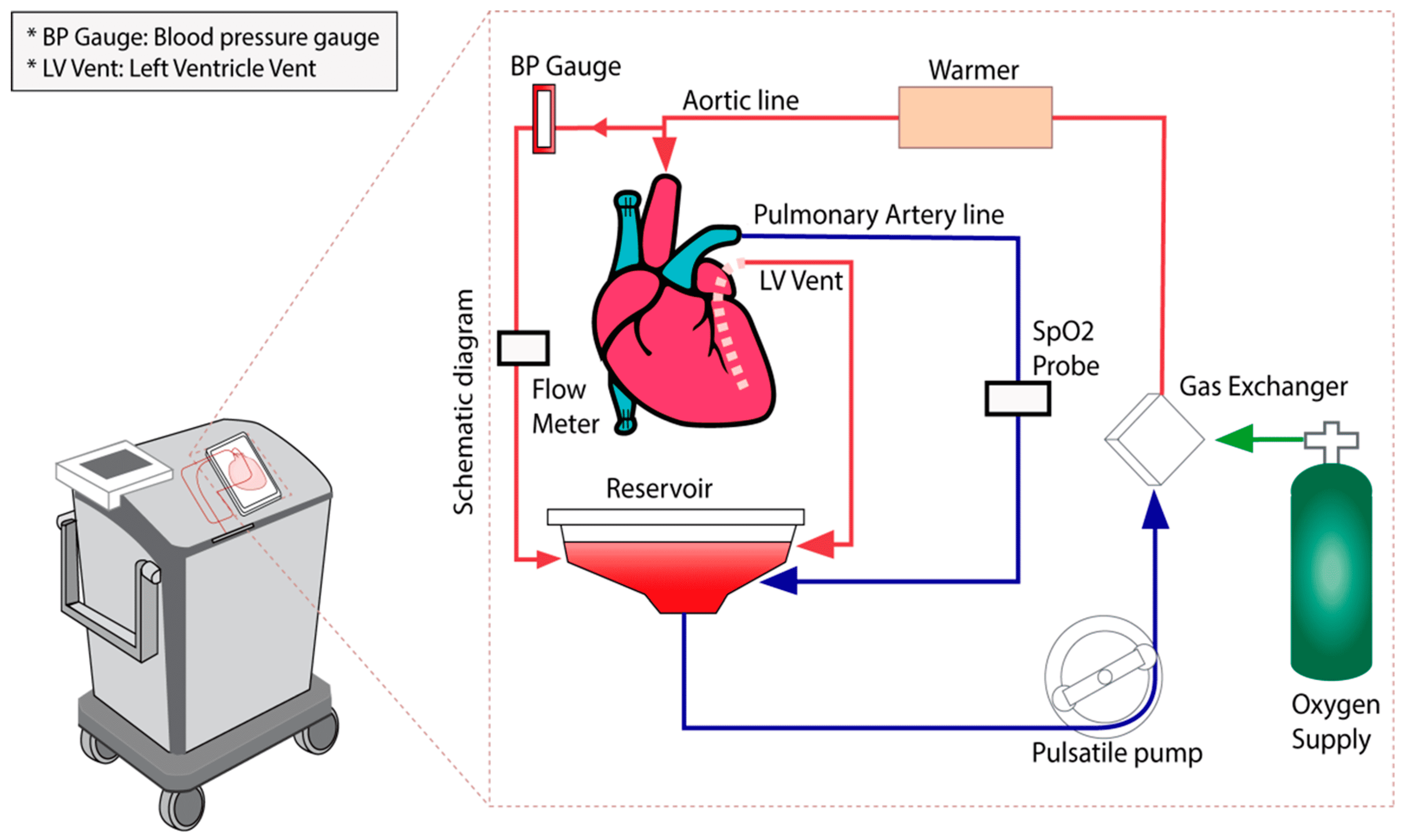 Jcdd 10 00105 g001 Jcdd 10 00105 g001
