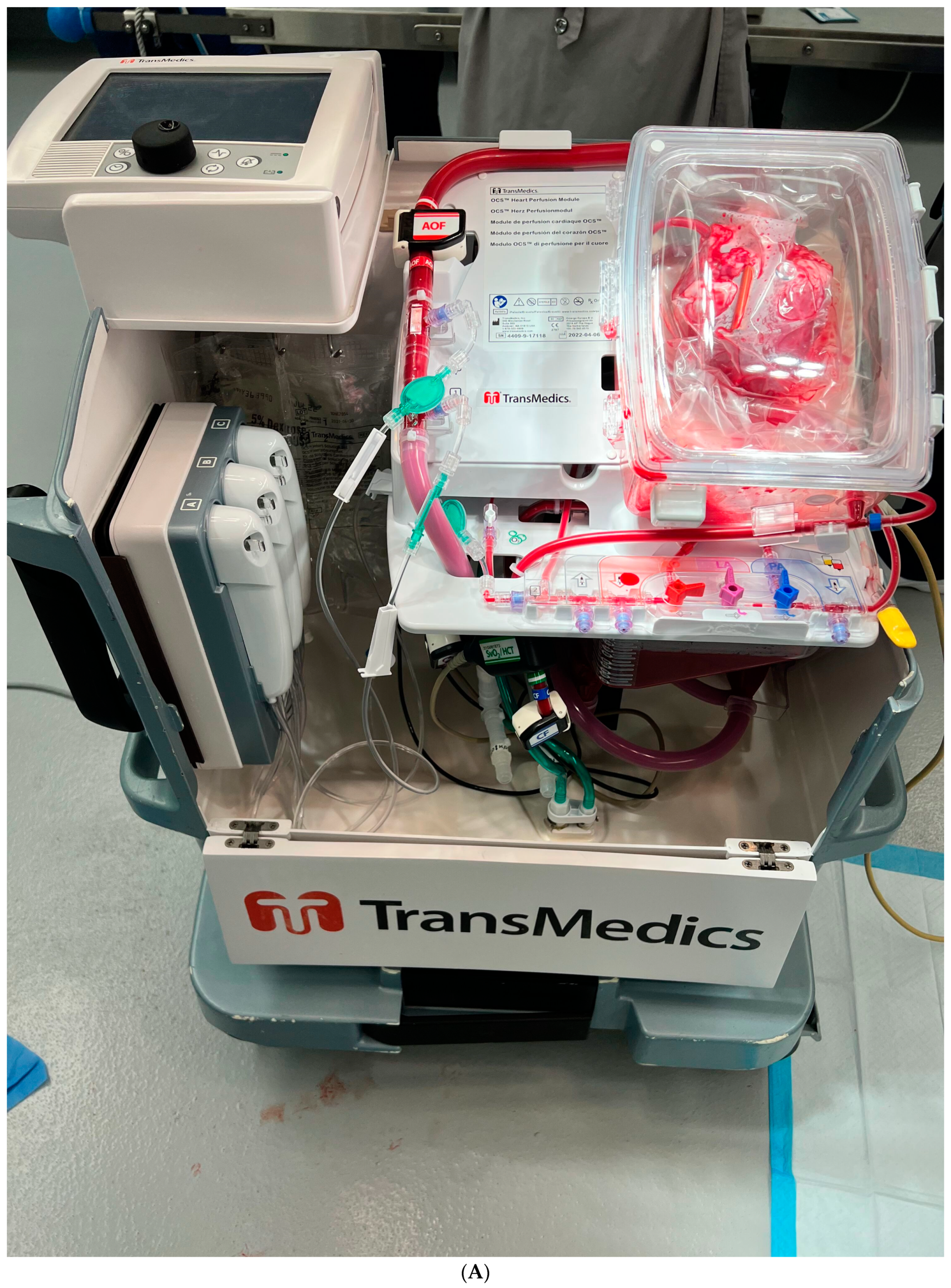 Jcdd 10 00105 g002a Jcdd 10 00105 g002a